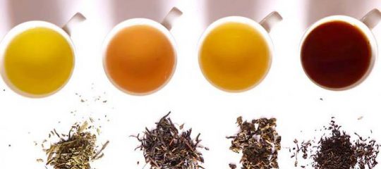 3 loại trà để pha trà sữa cơ bản nhất