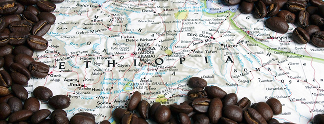 ethiopiancoffeeindustry