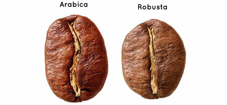 arabica và robusta