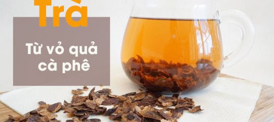 Cascara – Trà từ vỏ quả cà phê