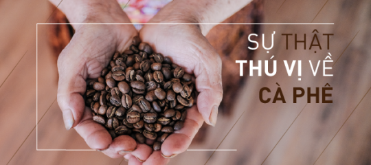 Sự thật thú vị về cà phê không phải ai cũng biết