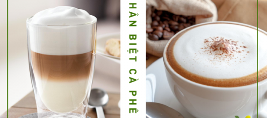 Cách phân biệt cà phê Cappuchino và Latte đơn giản nhất