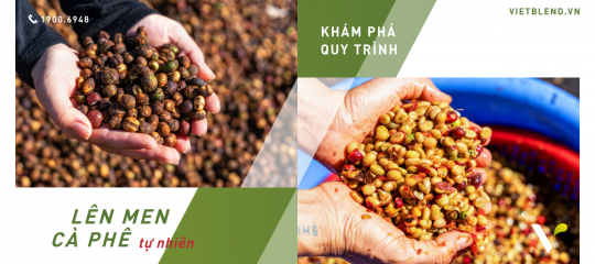 Khám Phá Phương Pháp Lên Men Cà Phê Tự Nhiên