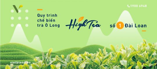 Quy Trình Chế Biến Trà Ô Long High Tea