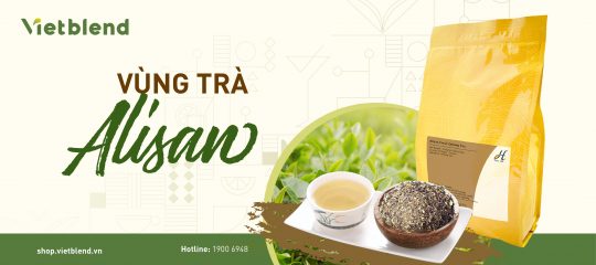 Bạn đã biết gì về vùng trà Alisan?