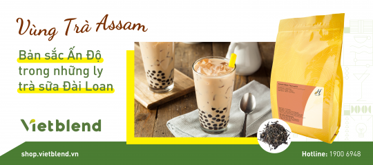 Vùng Trà Assam – Bản sắc Ấn Độ trong những ly trà sữa Đài Loan