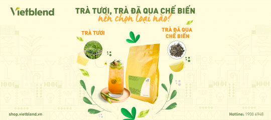 Trà tươi và Trà đã qua chế biến: Nên chọn loại nào?