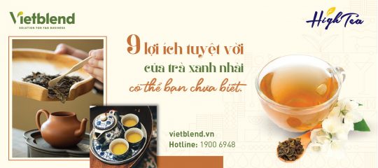 9 lợi ích tuyệt vời của trà xanh nhài mà có thể bạn chưa biết