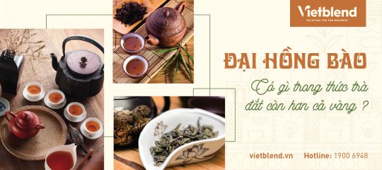 Đại Hồng Bào – Có gì trong thức trà đắt còn hơn cả vàng