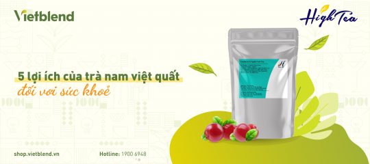 5 lợi ích của trà nam việt quất đối với sức khỏe
