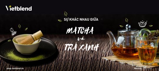 Bột Matcha và Bột Trà xanh có gì khác nhau?