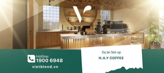 Dự án Setup: Quán H.A.Y COFFEE – Hòa Phát Around You