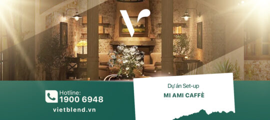 Dự án Setup: Mi Ami Caffè & Bistro